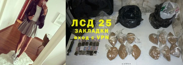 индика Алексеевка
