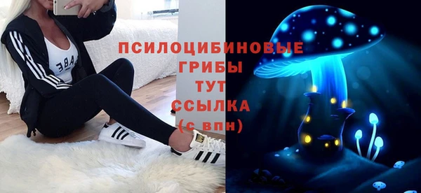 прущие грибы Алексин