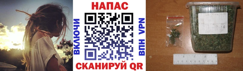 Бошки Шишки OG Kush  закладка  Анива 